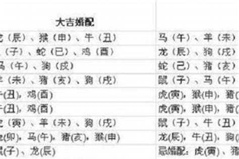 1997生肖|97年属什么 97年属什么的生肖配对